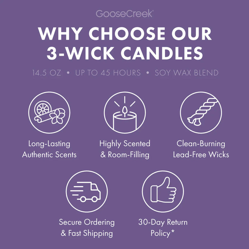 Sandy Cheeks 3-Wick Candle